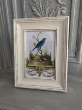 "My Pet" Antique bird