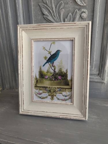 Pet antique bird - antique,