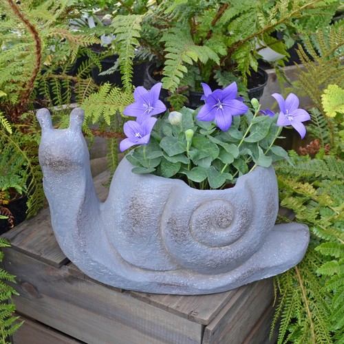 Unusual snail planter in - unusual, planter"