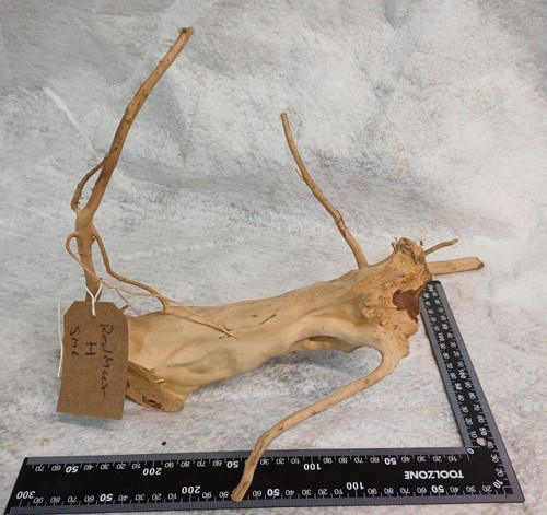 Red moor aquarium wood - red, –