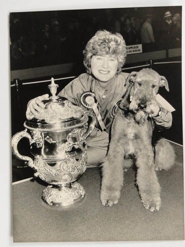 Mary swash airedale terrier - swash,