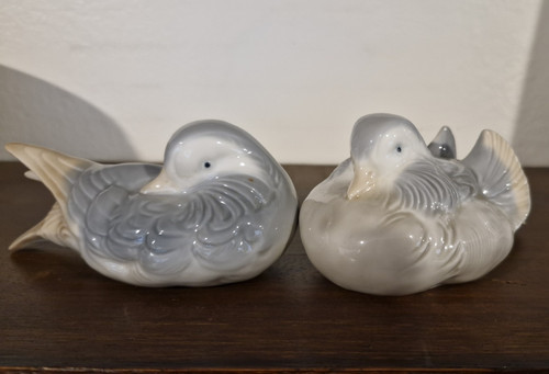 Pair mandarin ducks - pair,