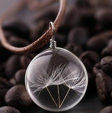 Crystal Pendant Natural Dried