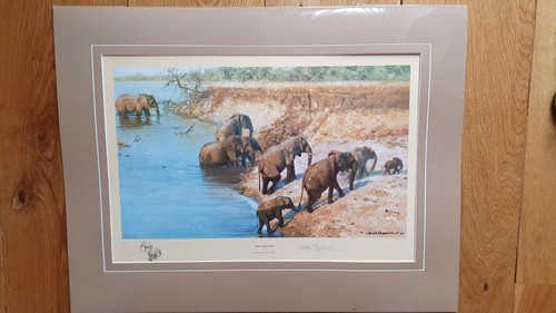 David shepherd limited edition - shepherd,