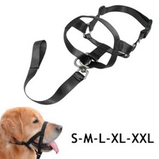 S-XXL Dog Halter Training Head