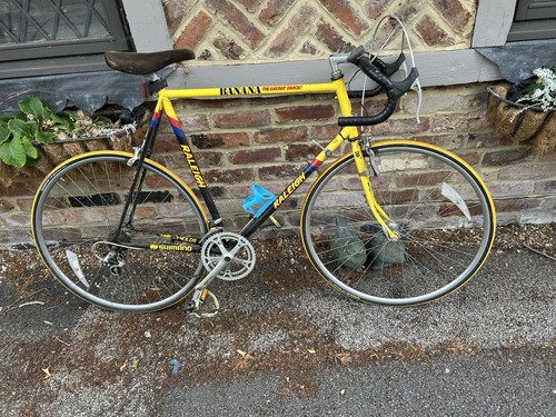 Raleigh team banana racing - raleigh,