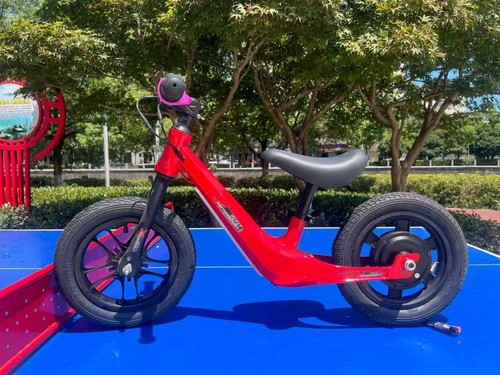 24v electric balance - balance, bike