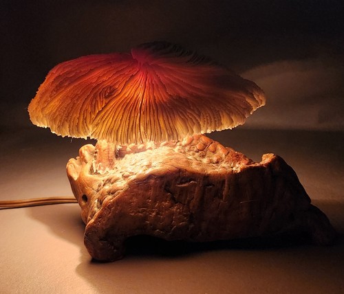 Rare vintage coral mushroom - *rare*,