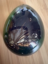 Insect amber resin - insect,