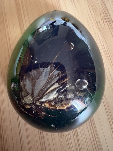 Insect amber resin - insect,