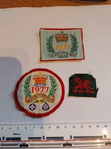 Scout badge pair of - pair, the