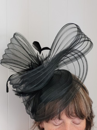Black feather and net