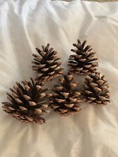 Extra large pine cone 2/3” Aged Lightweight 5 Piece