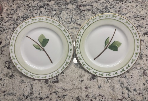 Raynaud verdures salad - 2,