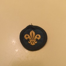 Vintage Boy Scouts Badge 