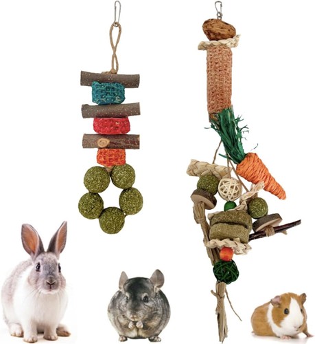 Pack rabbit chew toys - chew,