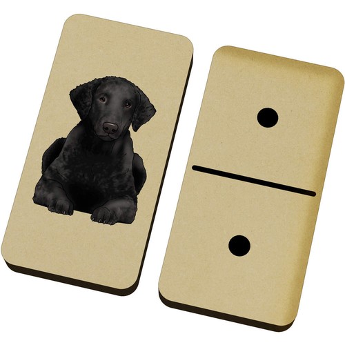Curly coated retriever - 'curly,
