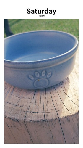 Mason cash cat stone - mason,