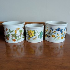 Vintage Portmeirion Botanic