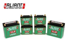 ALIANT LITHIUM BATTERY YLP07