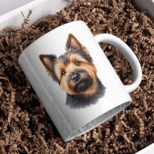 Norwich terrier dog - norwich, white
