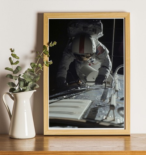 Apollo moon landings - 17,