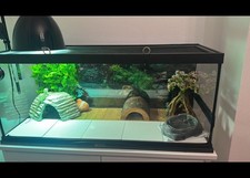 Zoo Med Vivarium 2.5ft