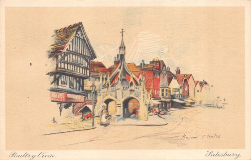 Poultry cross salisbury artist - poultry,