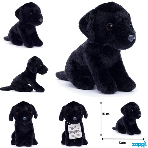 Buddy the black labrador - the,