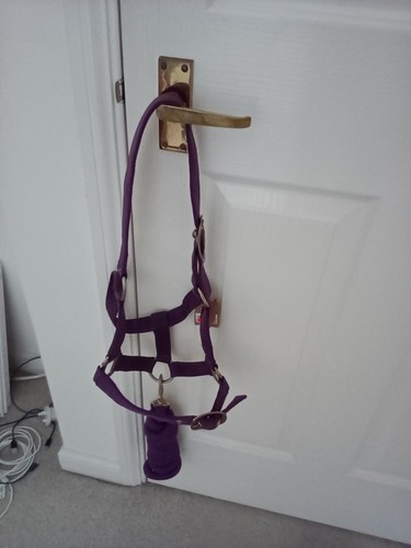 Aubergine cameo headcollar and - aubergine,