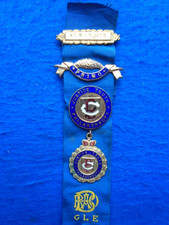RAOB KNIGHTHOOD MERIT MEDAL &