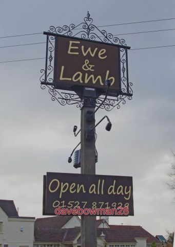 Photo ewe lamb sign - lamb, (2)