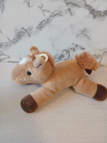 Aurora golden light brown