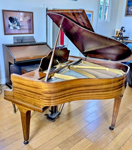 Striking baby grand piano rare - grand,