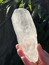 Lemurian Seed Clear Quartz