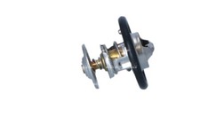 RTG Thermostat Coolant Fits