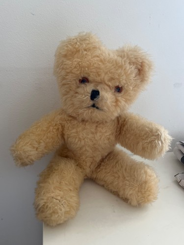 Pedigree bear northern ireland - bear,
