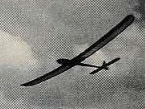 Damselfly soarer - damselfly,
