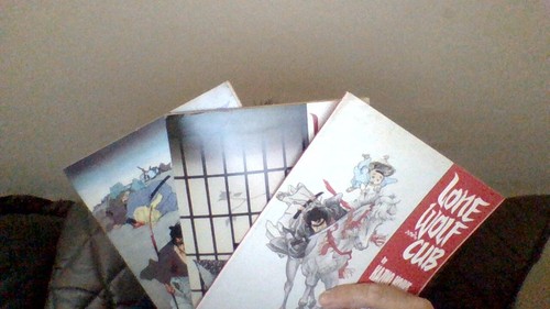 Lone wolf and cub no - wolf,
