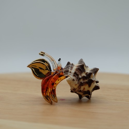 Small hermit crab - small,