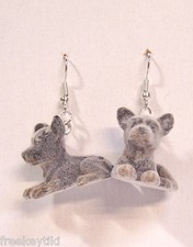 German Shepherd Dogs Puppies