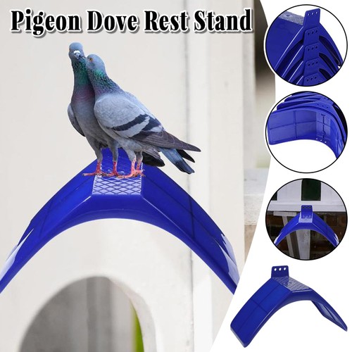 10x pigeon dove bird rest - 10x,