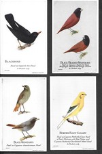 CAPERN'S CAGE BIRDS POSTCARDS