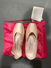 Gaynor Minden Pointe Shoes -