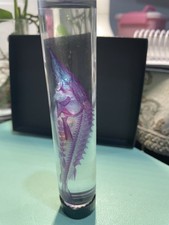 Diaphonized Fish Specimen