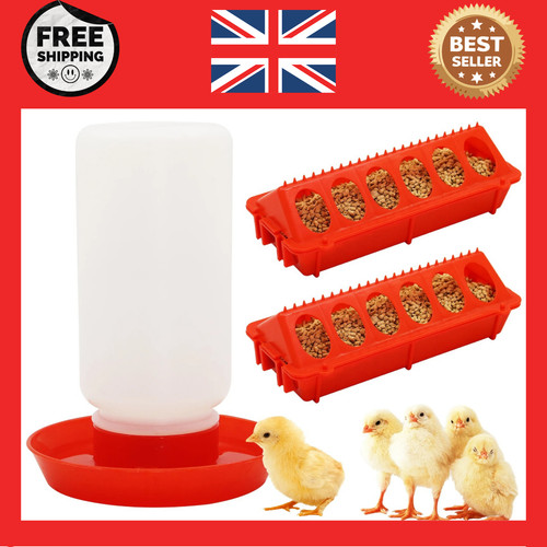 Automatic chicken feeder - chicken,