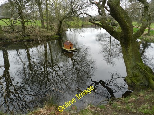 Photo 12x8 pond with floating - photo,