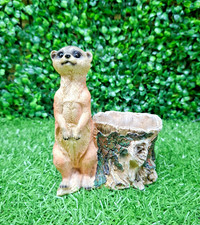 Meerkat succulent planter 14cm