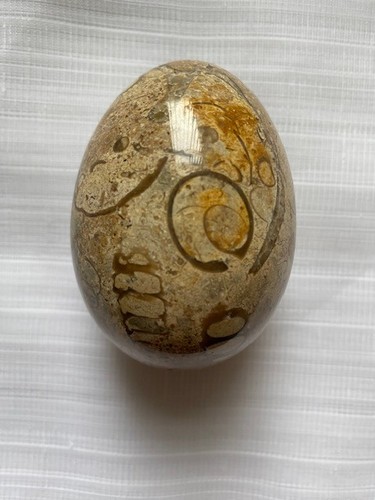 Himalayan marble fossil stone - marble,