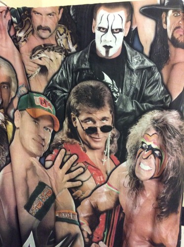 Wwe single bedding 2015 - wwe,